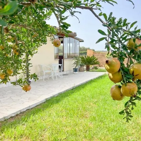 بيت للعطل Casa Cantina Scalecci *